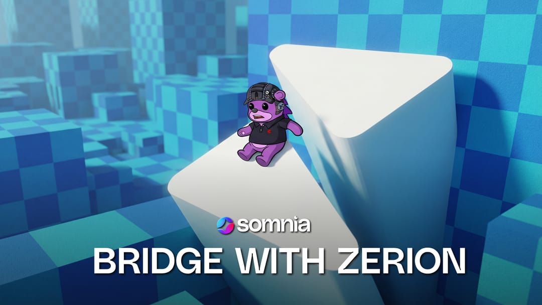 Complete Guide to Zerion for the Somnia Community